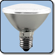 PAR 30 LED Bulb